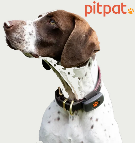 Recommended Dog Trackers